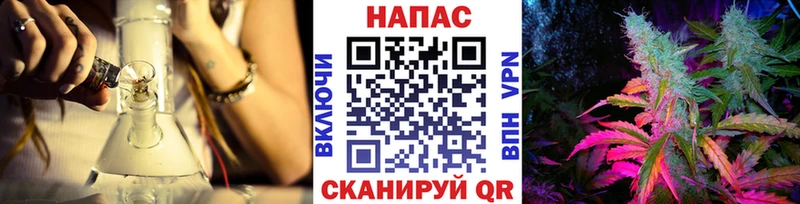 Бошки марихуана планчик Никольск